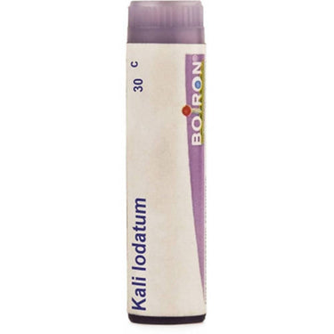 https://cdn.shopify.com/s/files/1/1857/6931/products/fpgYEob5dr.jpg?v=1613907464